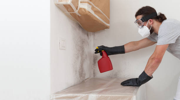 Professional Mold Remediation technician working in Ridgefield Park, NJ