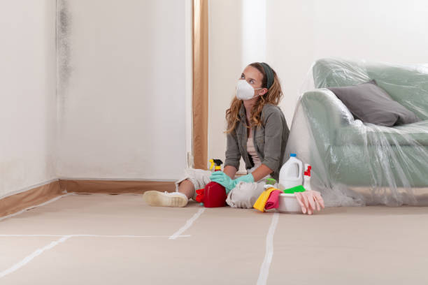 Reliable Mold Remediation contractor in Ridgefield Park, NJ by 24 Hour Mold Removal